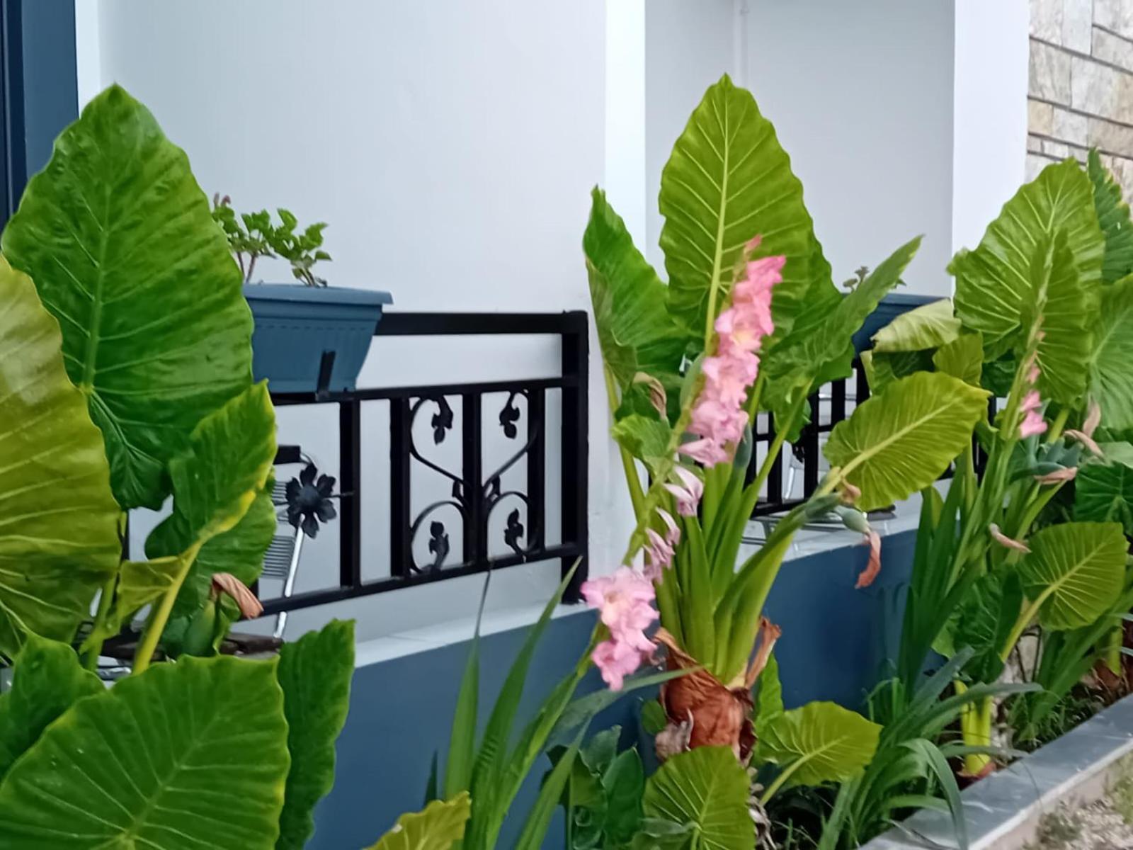 Villa Allkushi Саранде Екстериор снимка